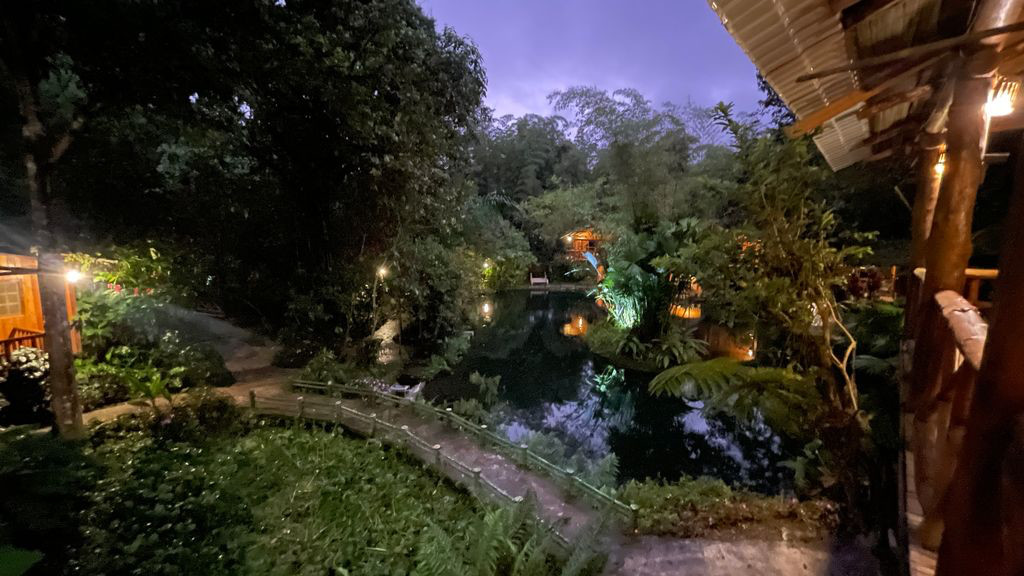 mindo pond