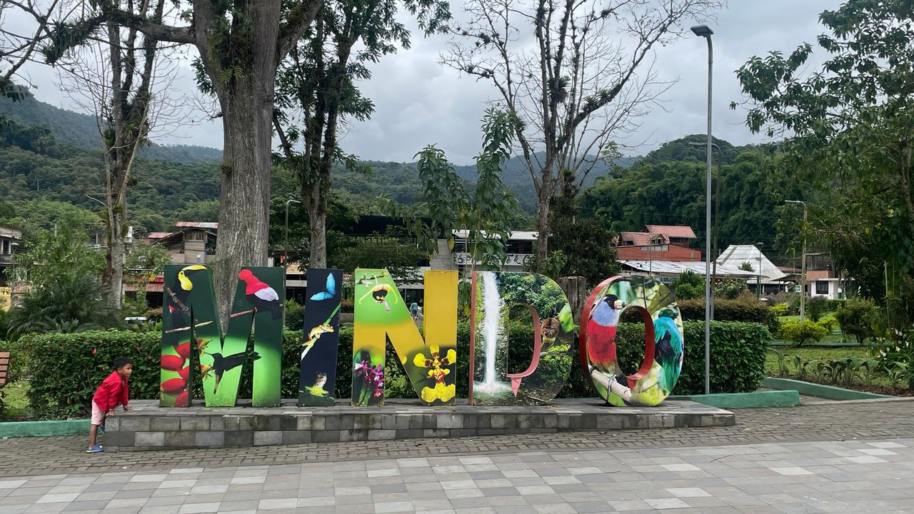 mindo sign