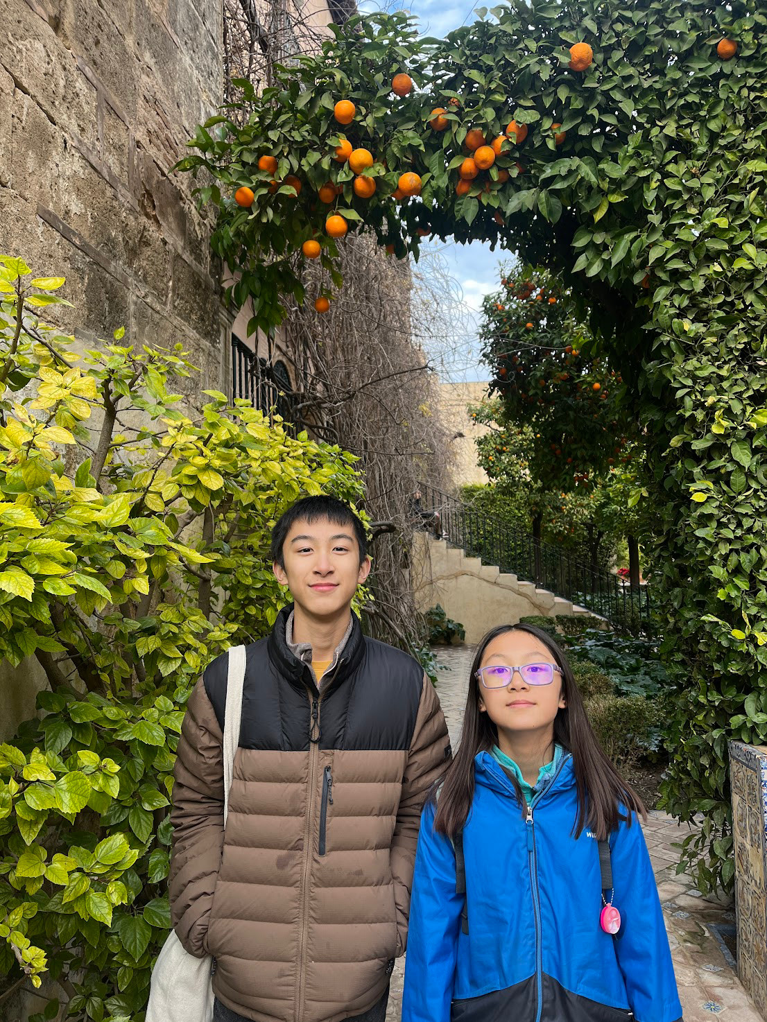 sevilla acalzar orange