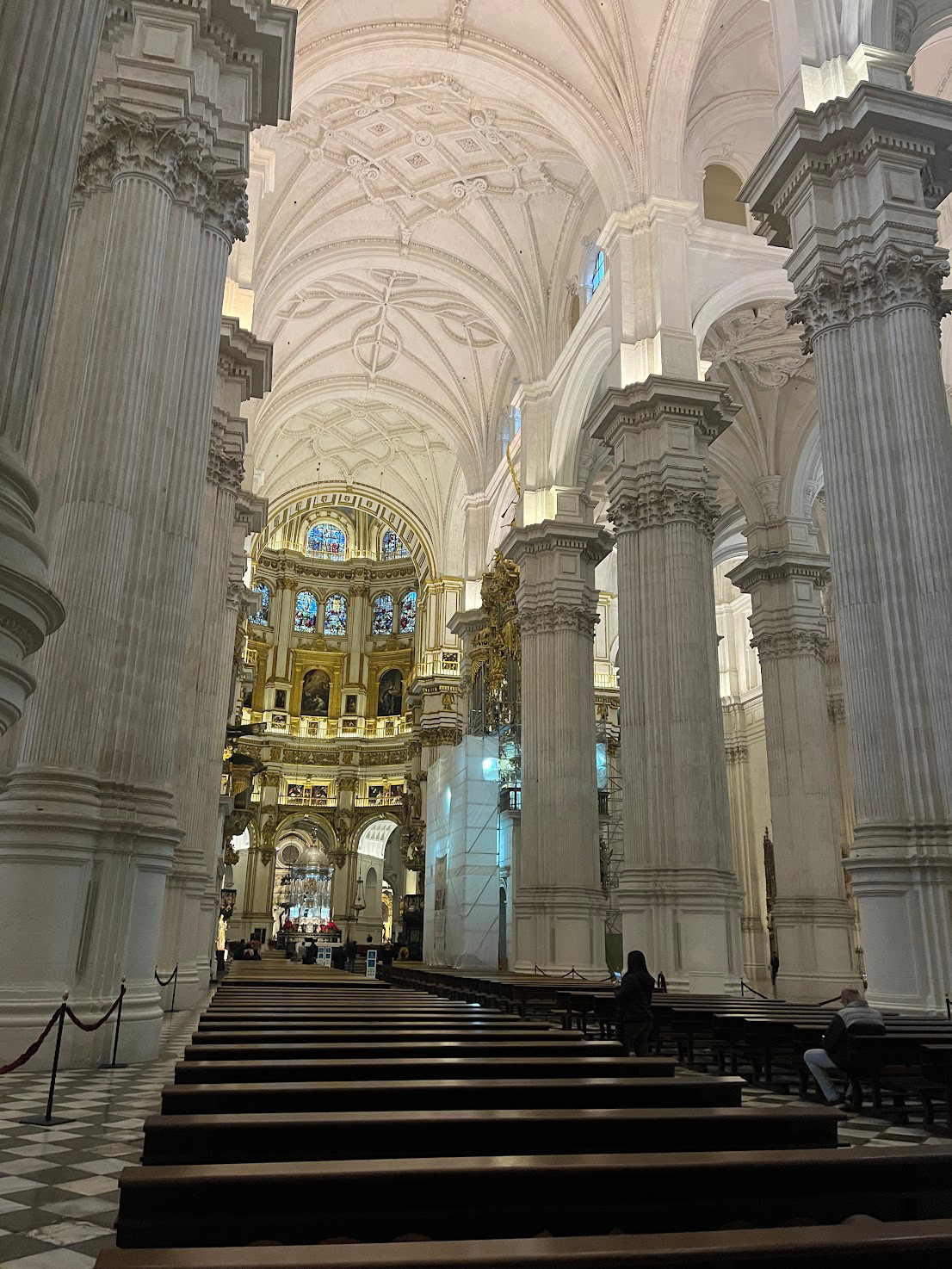 granada cathedral white columns