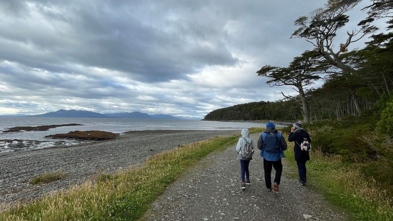 punta arenas walk with guide