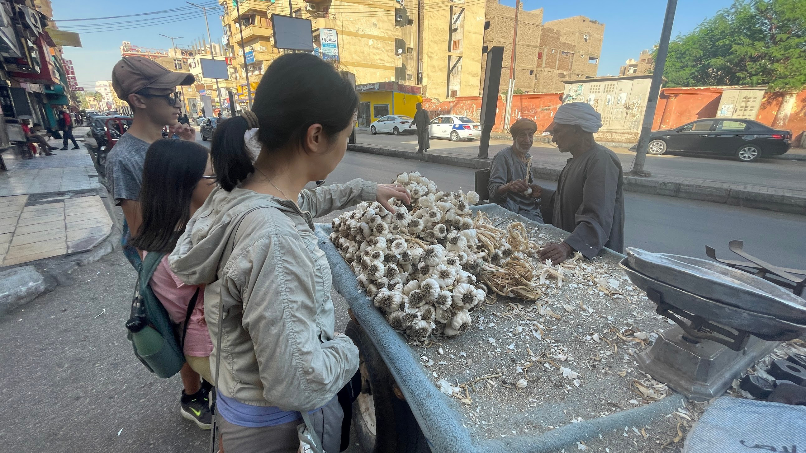 luxor garlic