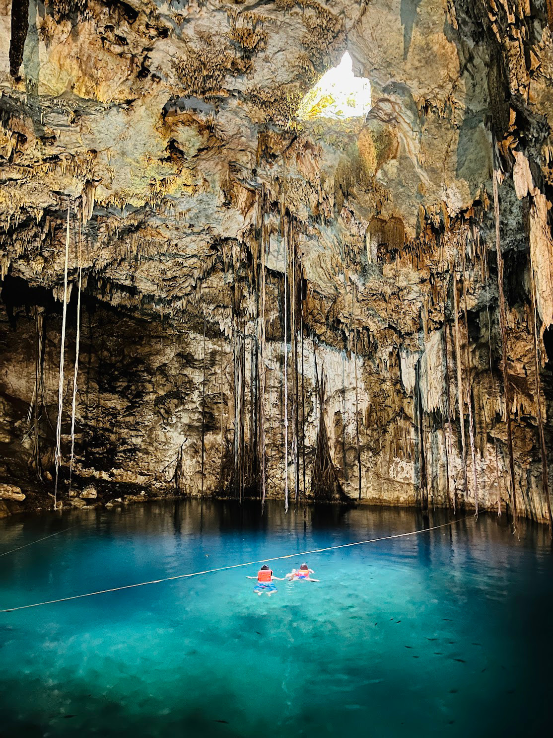 cenote swimming vertical