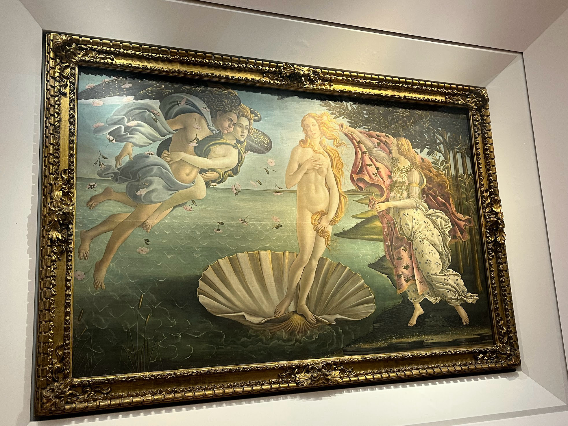 birth of venus ufizzi