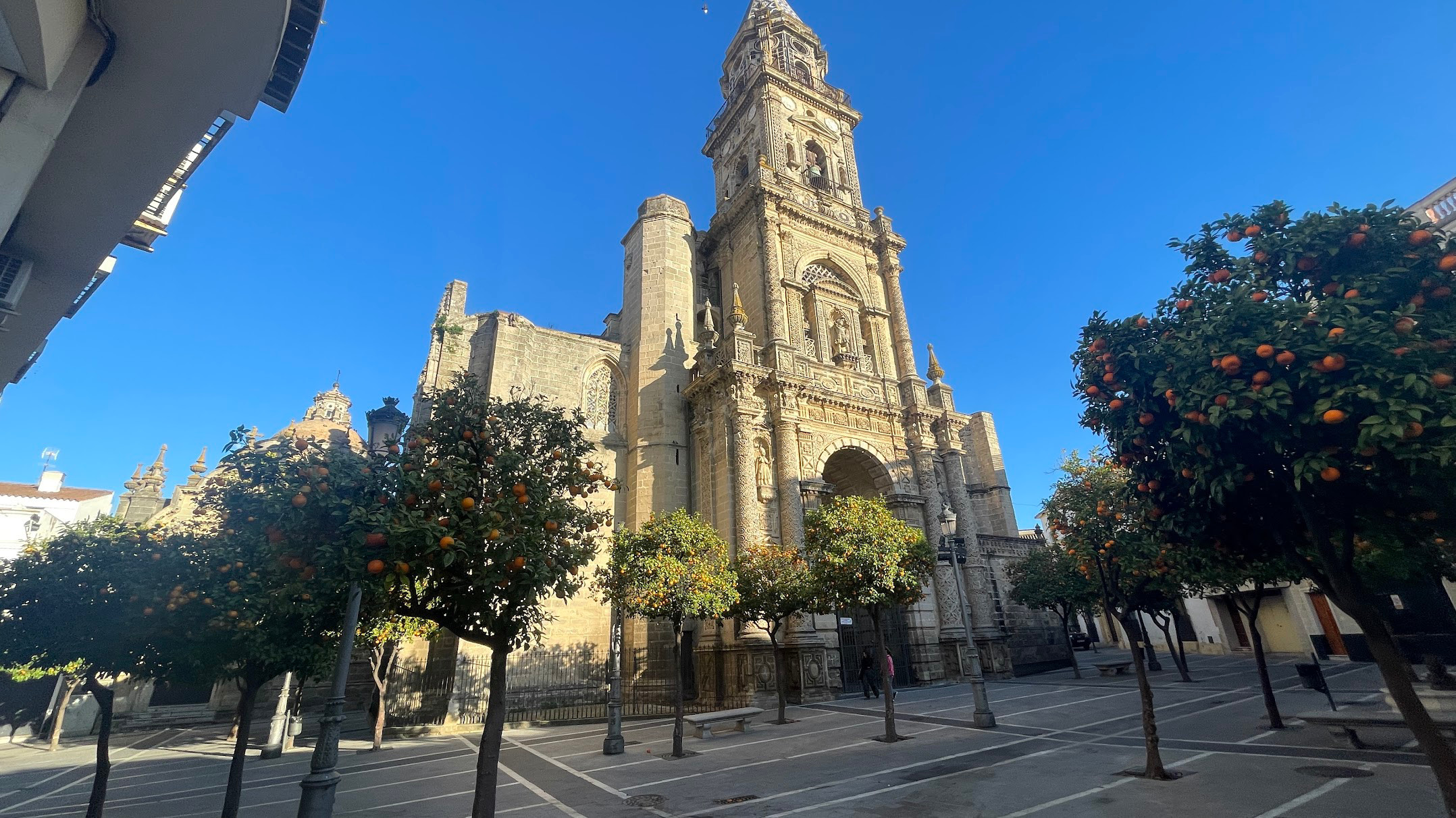 jerez cathedral
