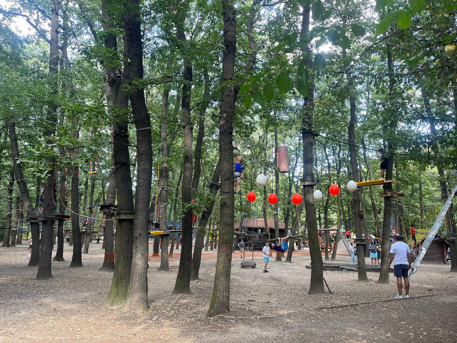 sofia park zipline