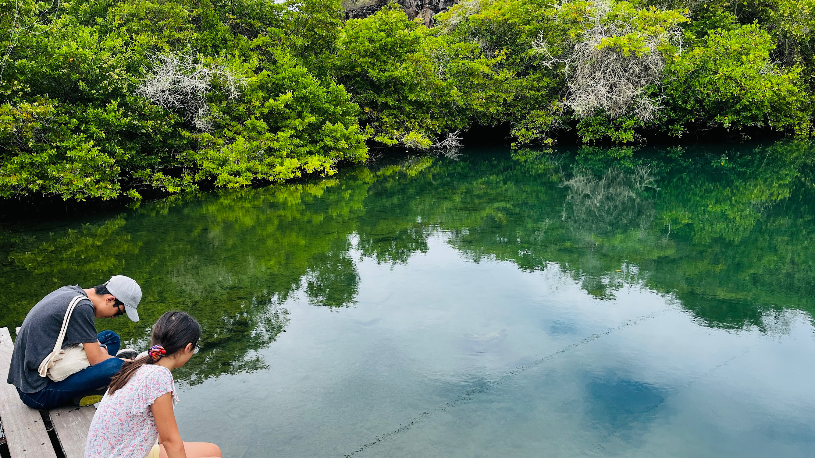 santa cruz lagoon