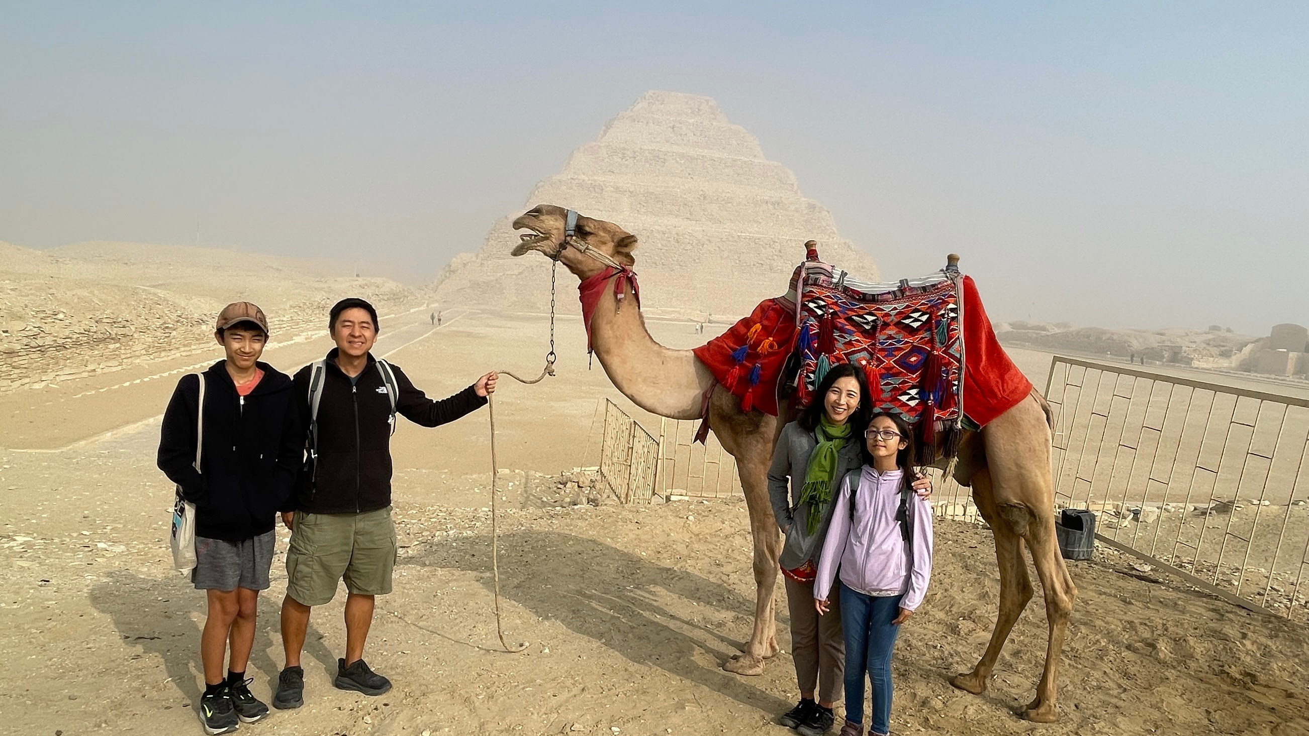 saqqara camel portrait