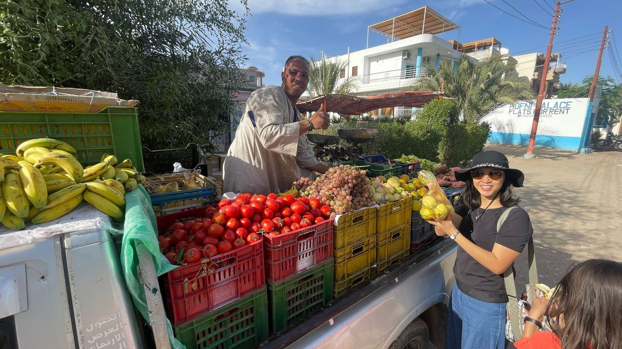 Luxor truck vender
