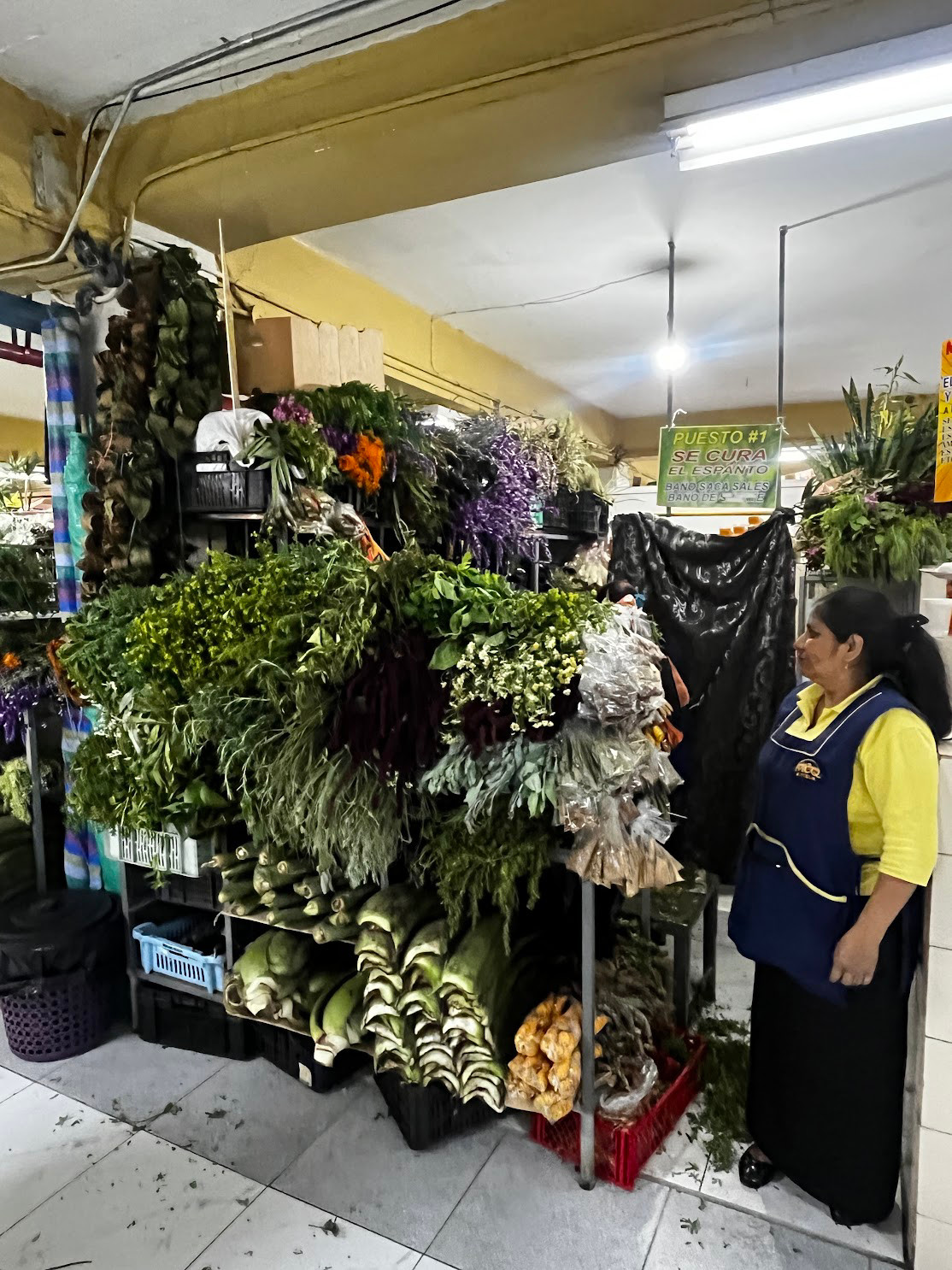 quito market inca herb