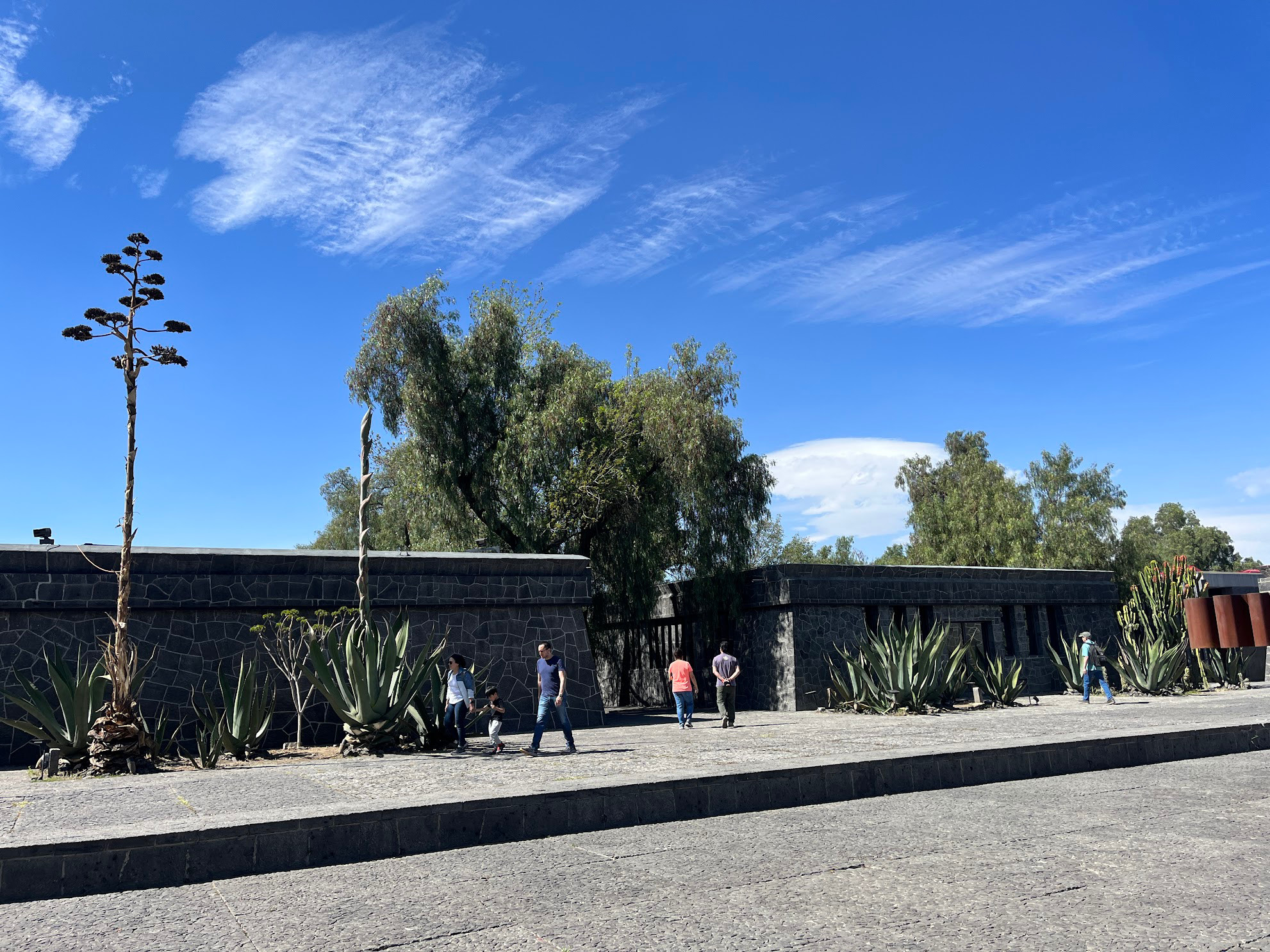 cdmx anahuacali museum entrance