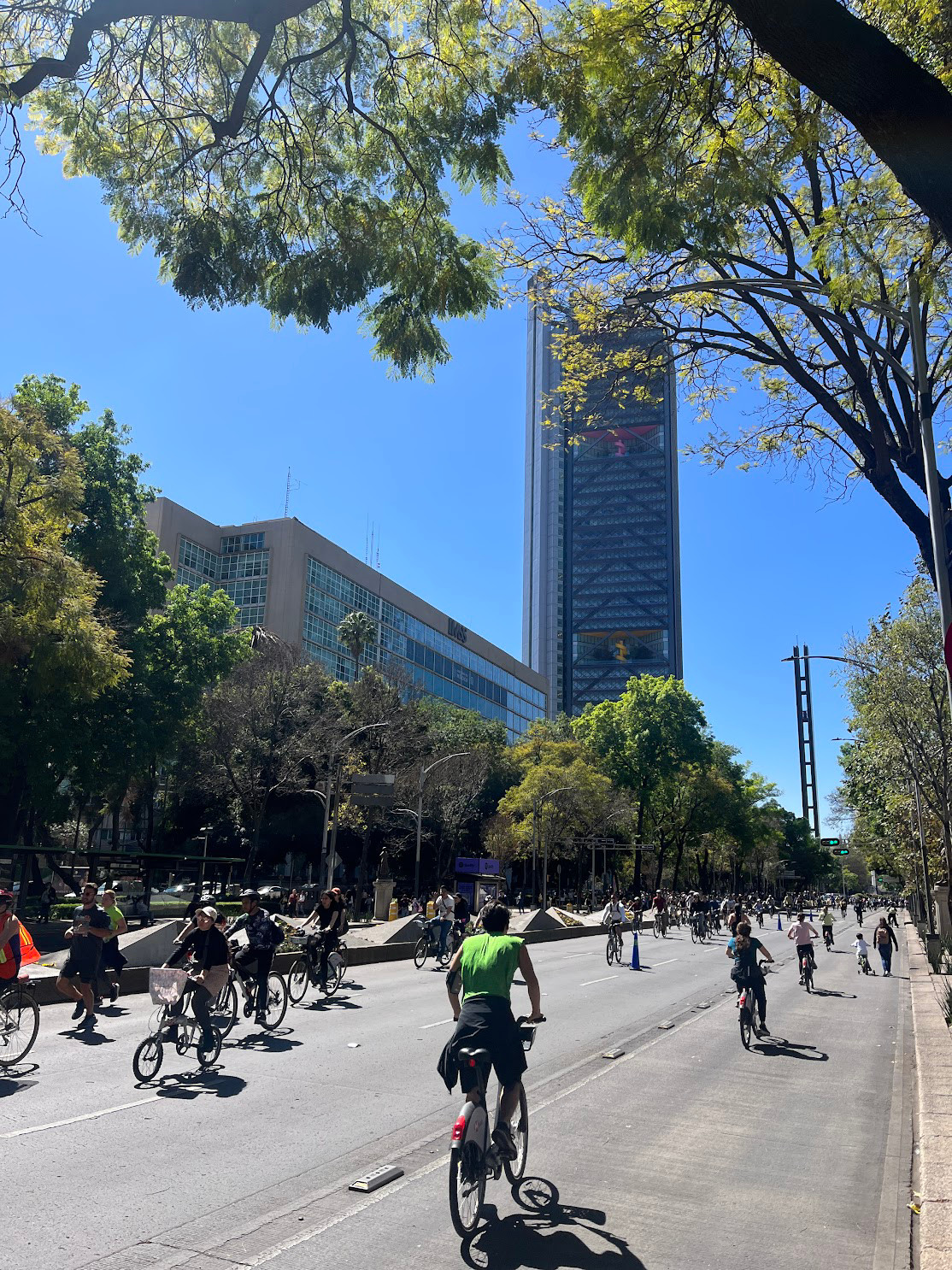cdmx bikers