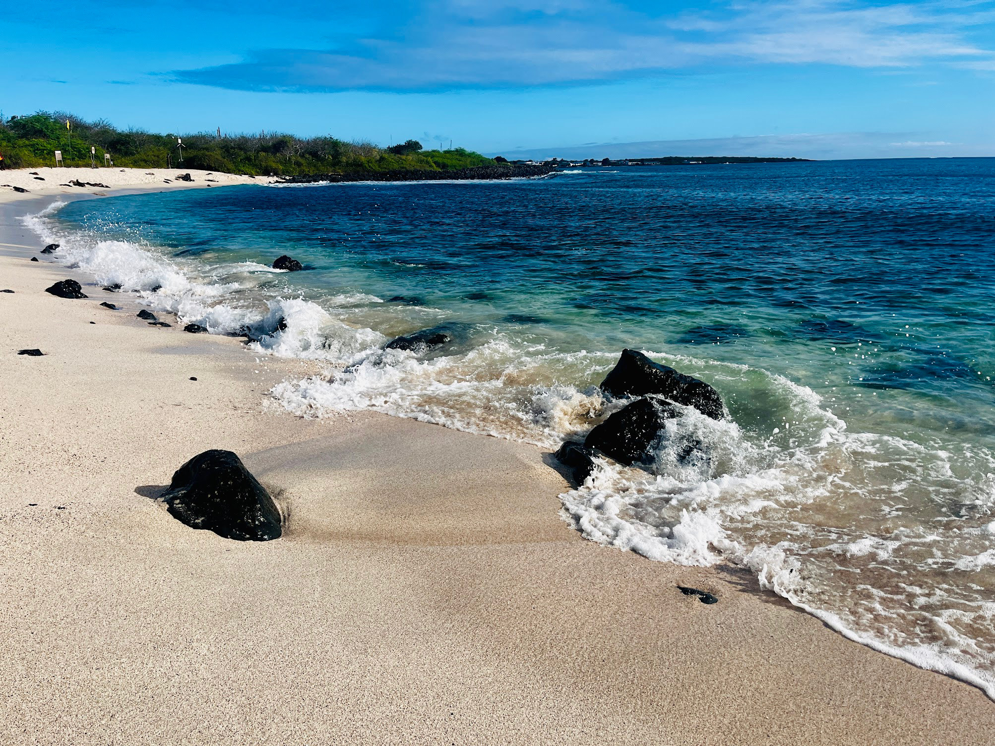 playa baquerizo seals
