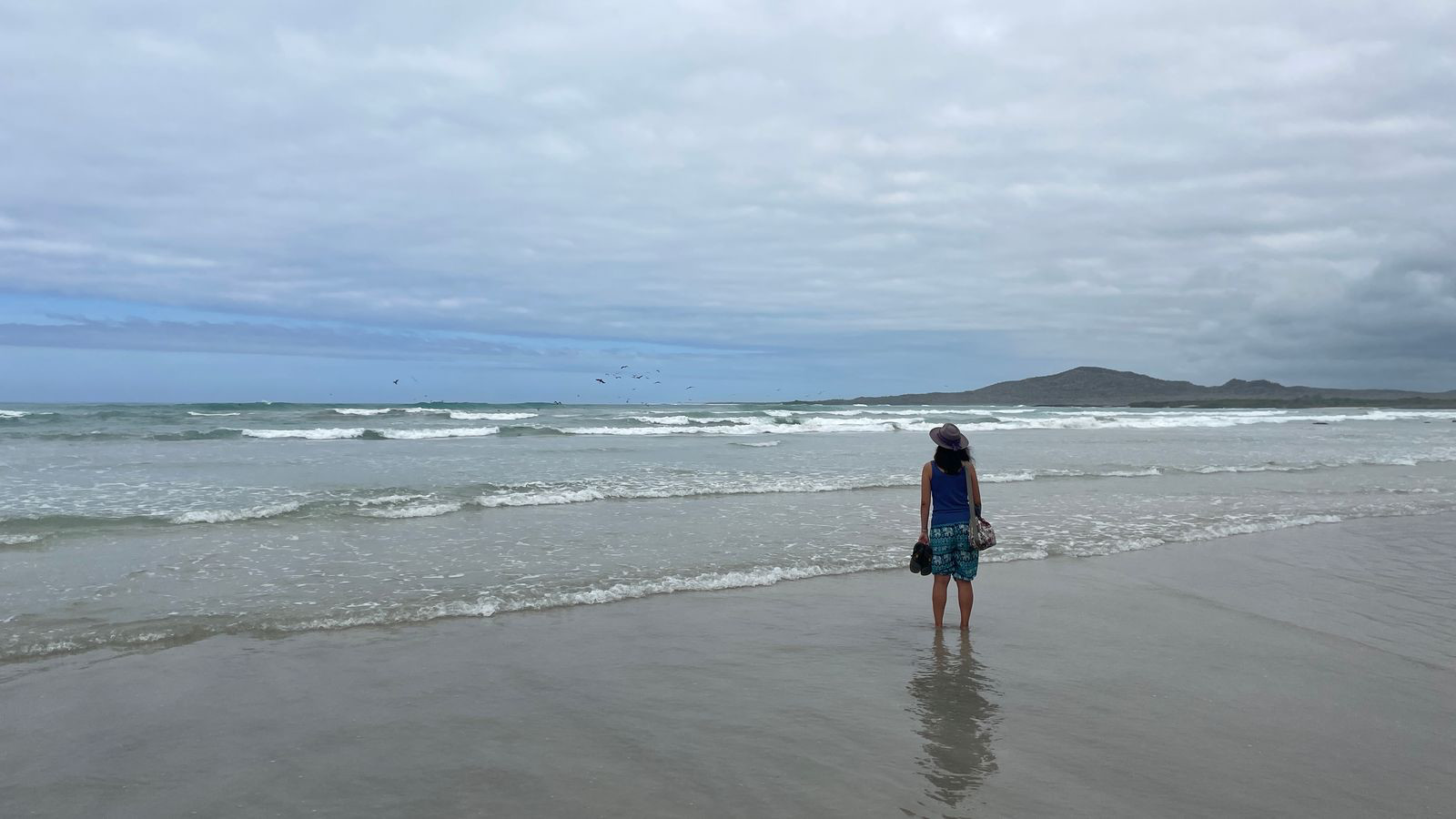 isabela beach