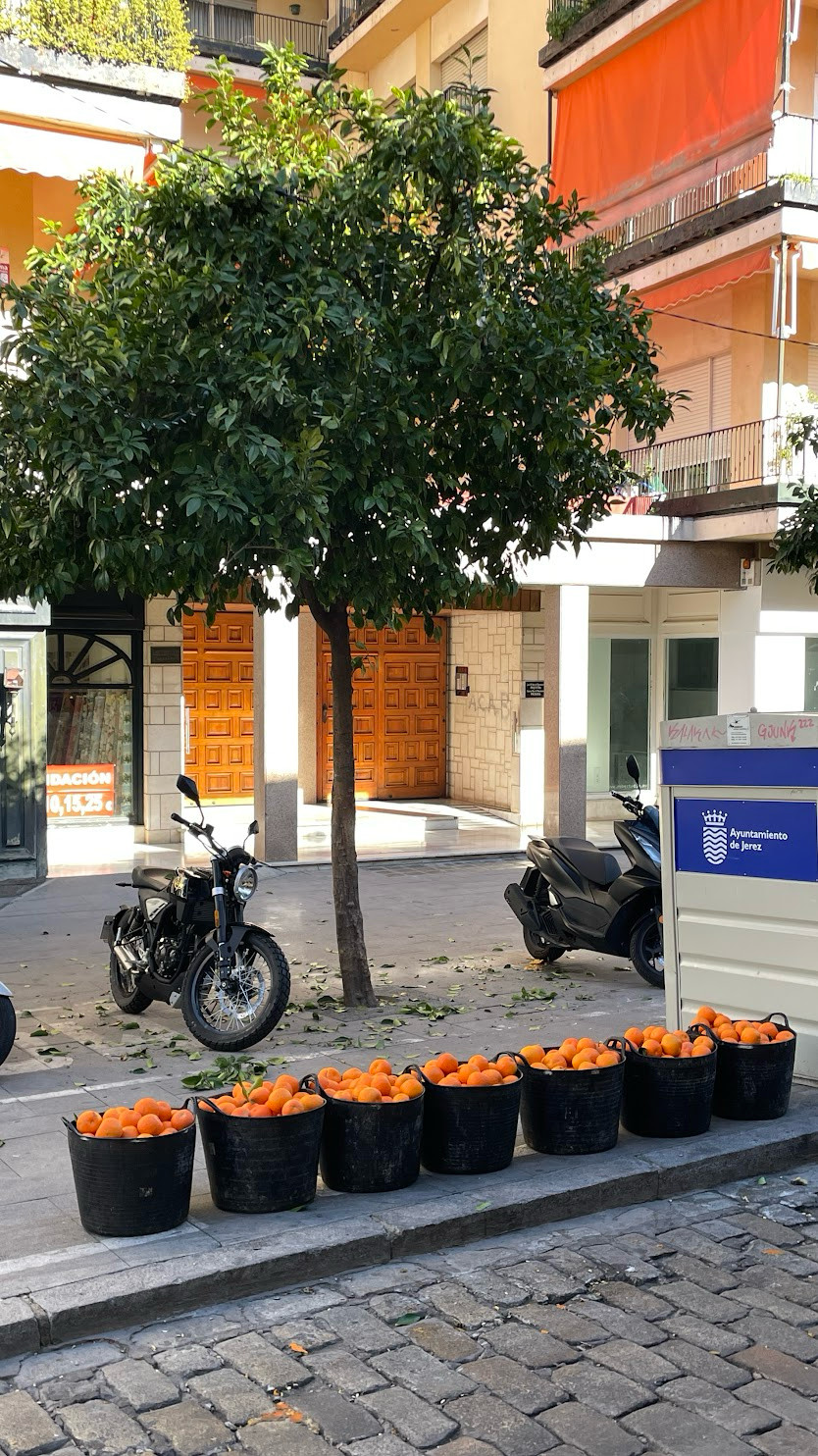 jerez orange buckets