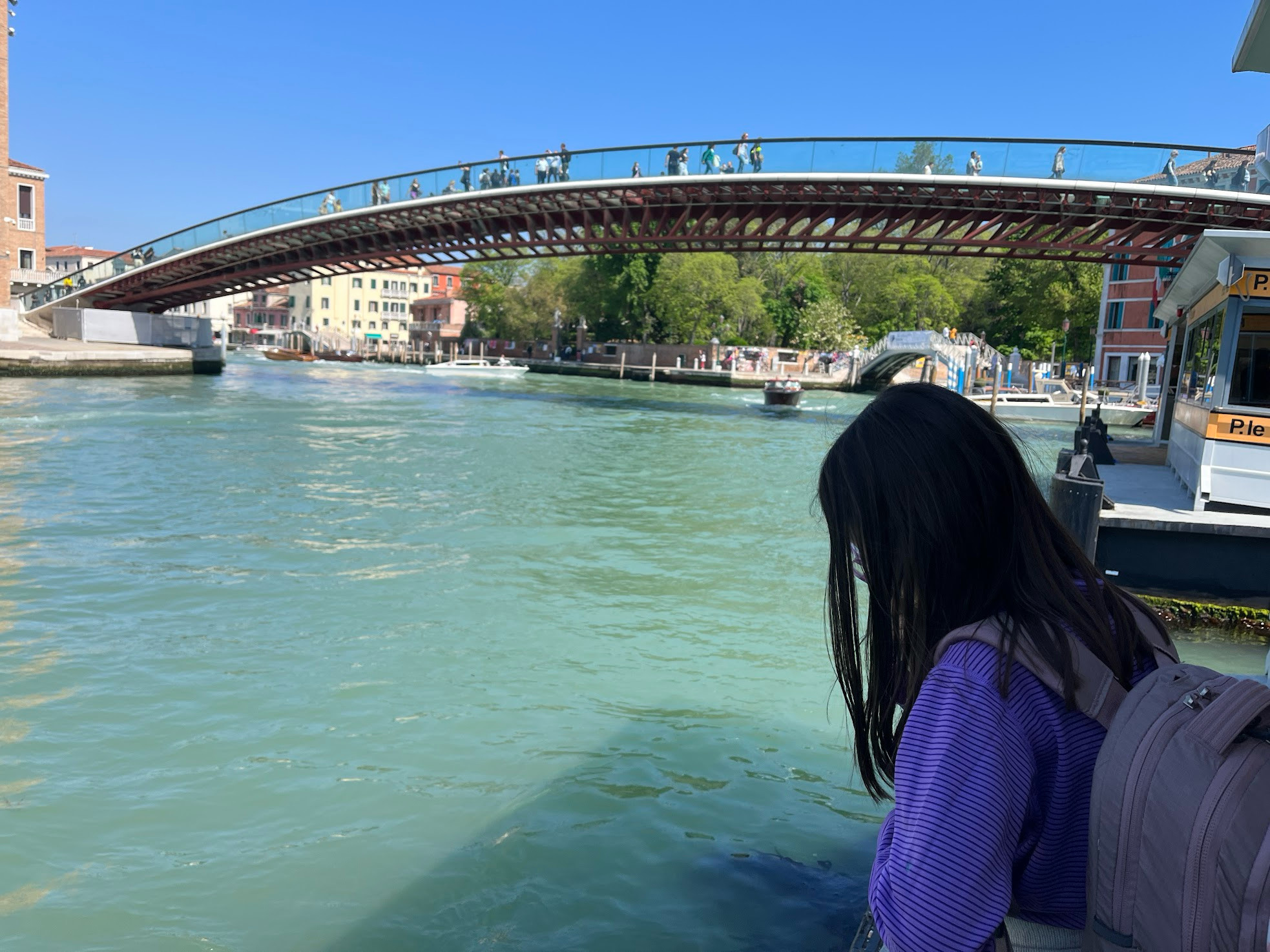 venice bridge