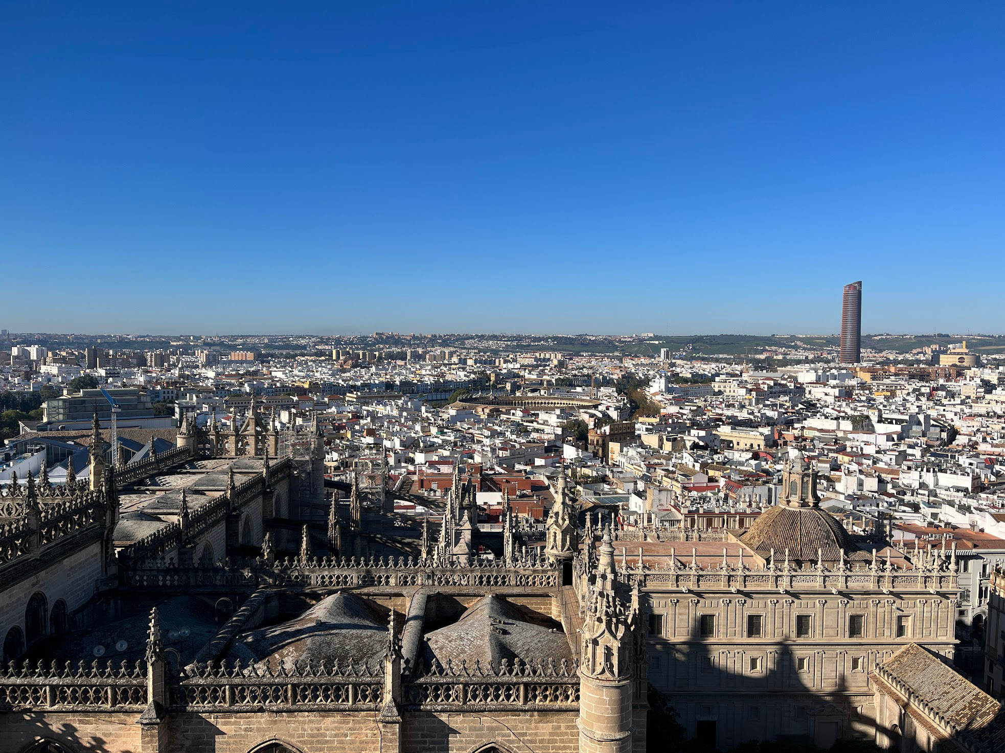 sevilla cathedral view