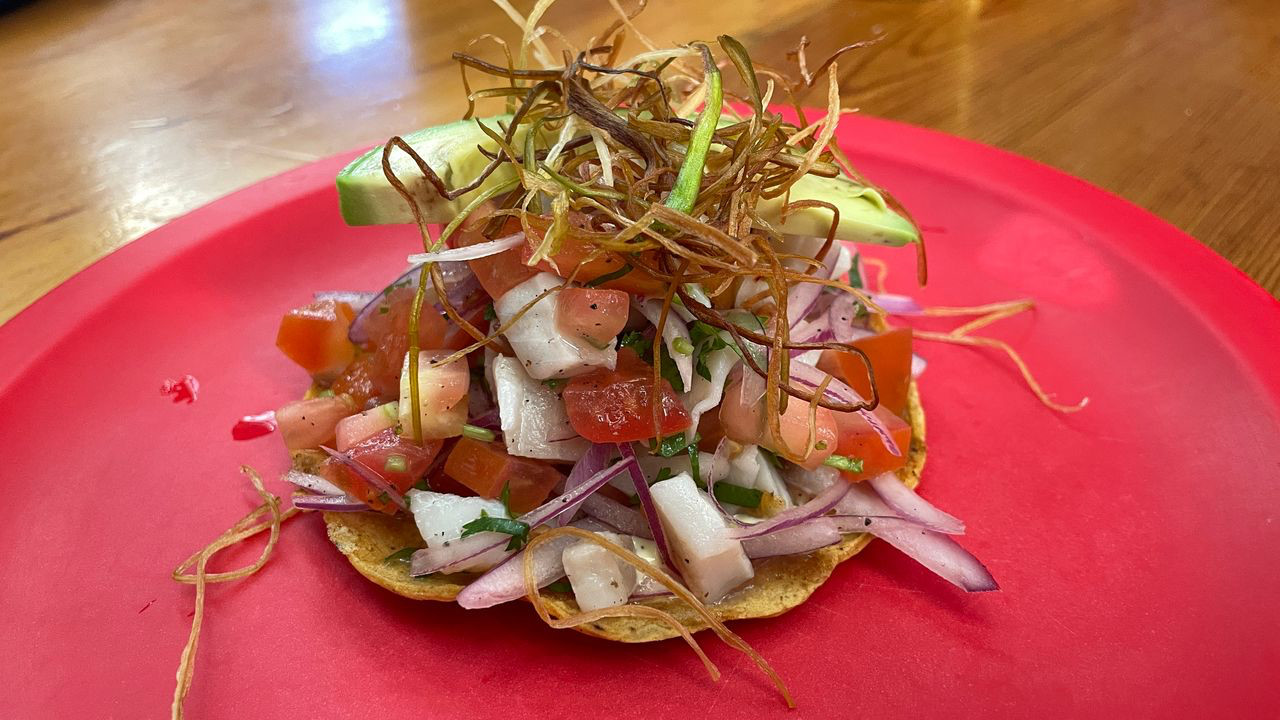 playa del carmen octopus sope