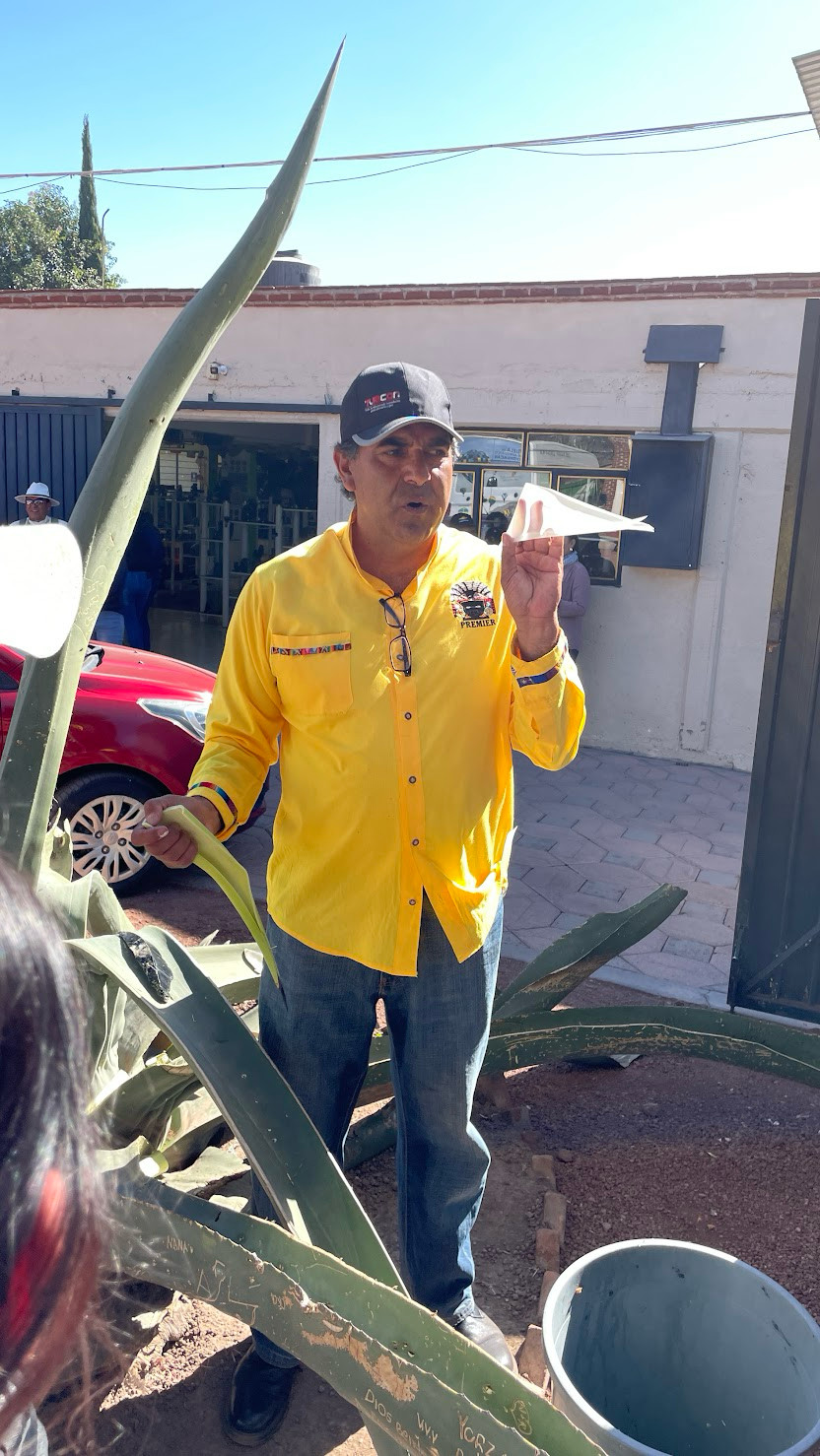 teotihuacan aloe paper