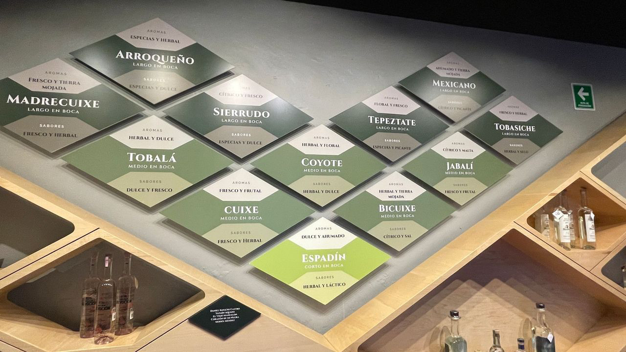 oaxaca tipo de mezcal