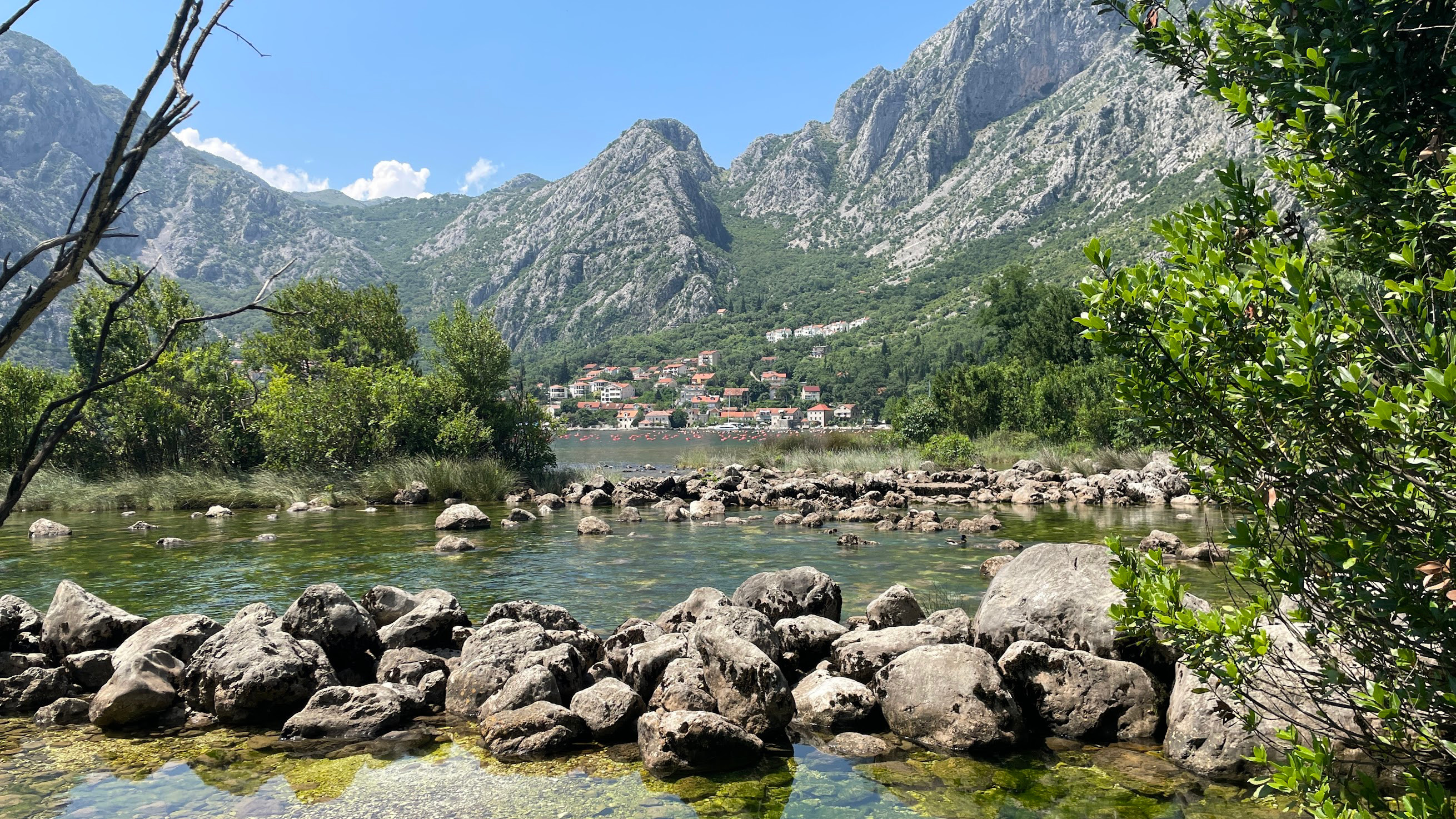 kotor marini view