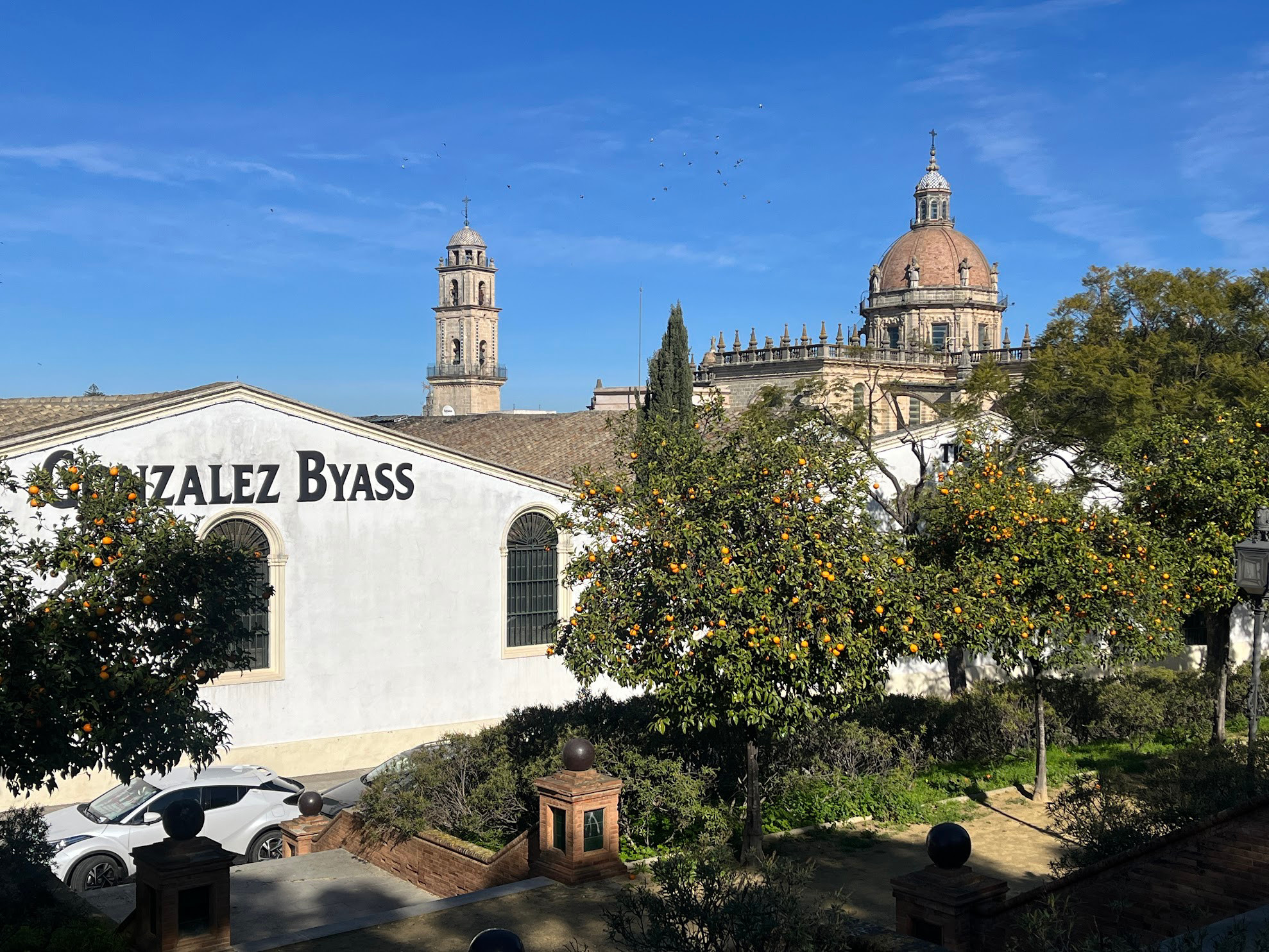 jerez gonzales byass