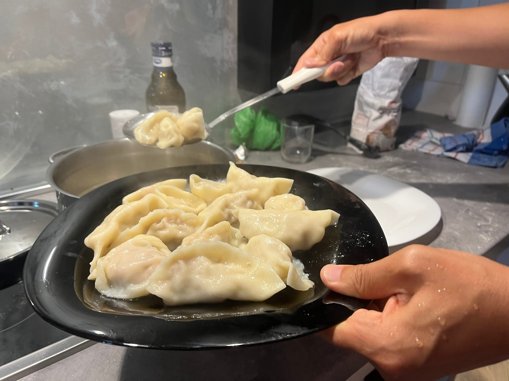 kotor dumplings