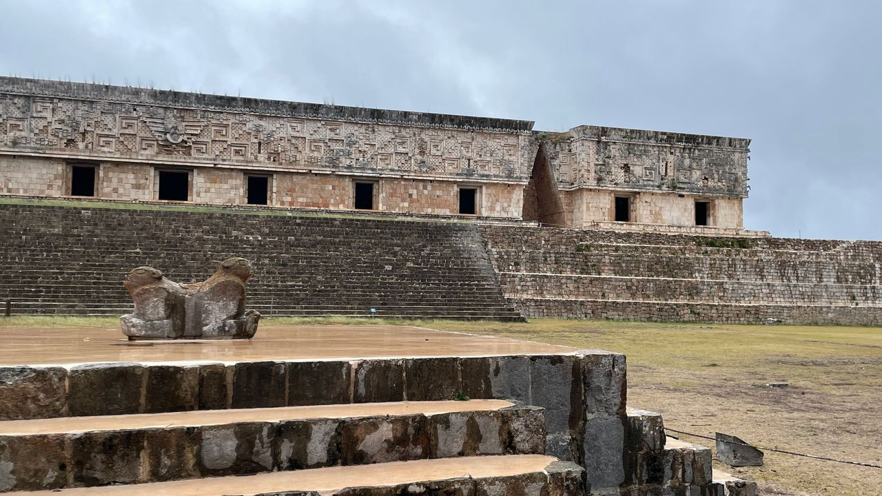 uxmal cougar 