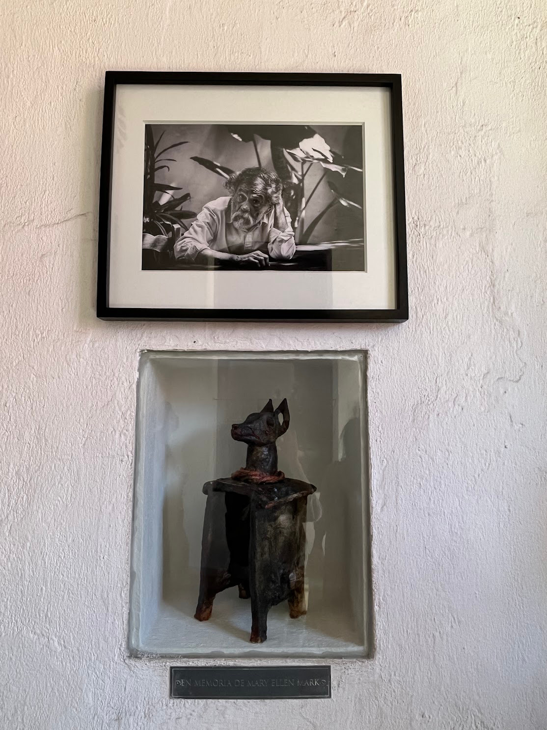 oaxaca activist artist