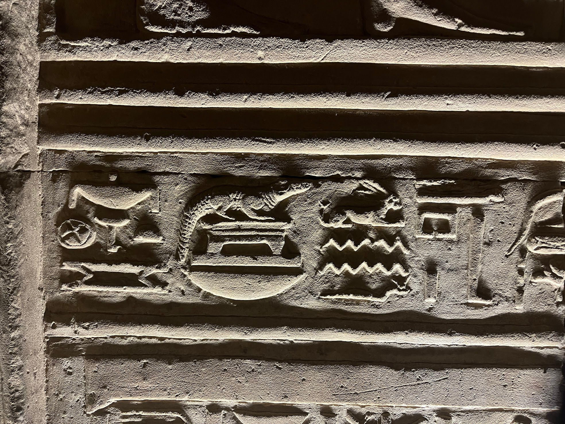 kom ombo temple mini croc