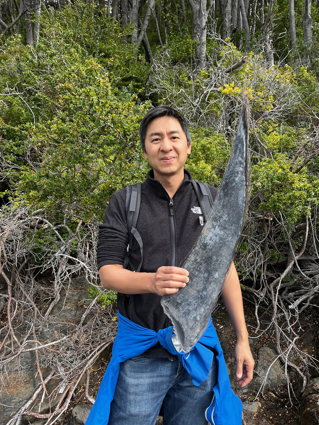 punta arenas whale mustache