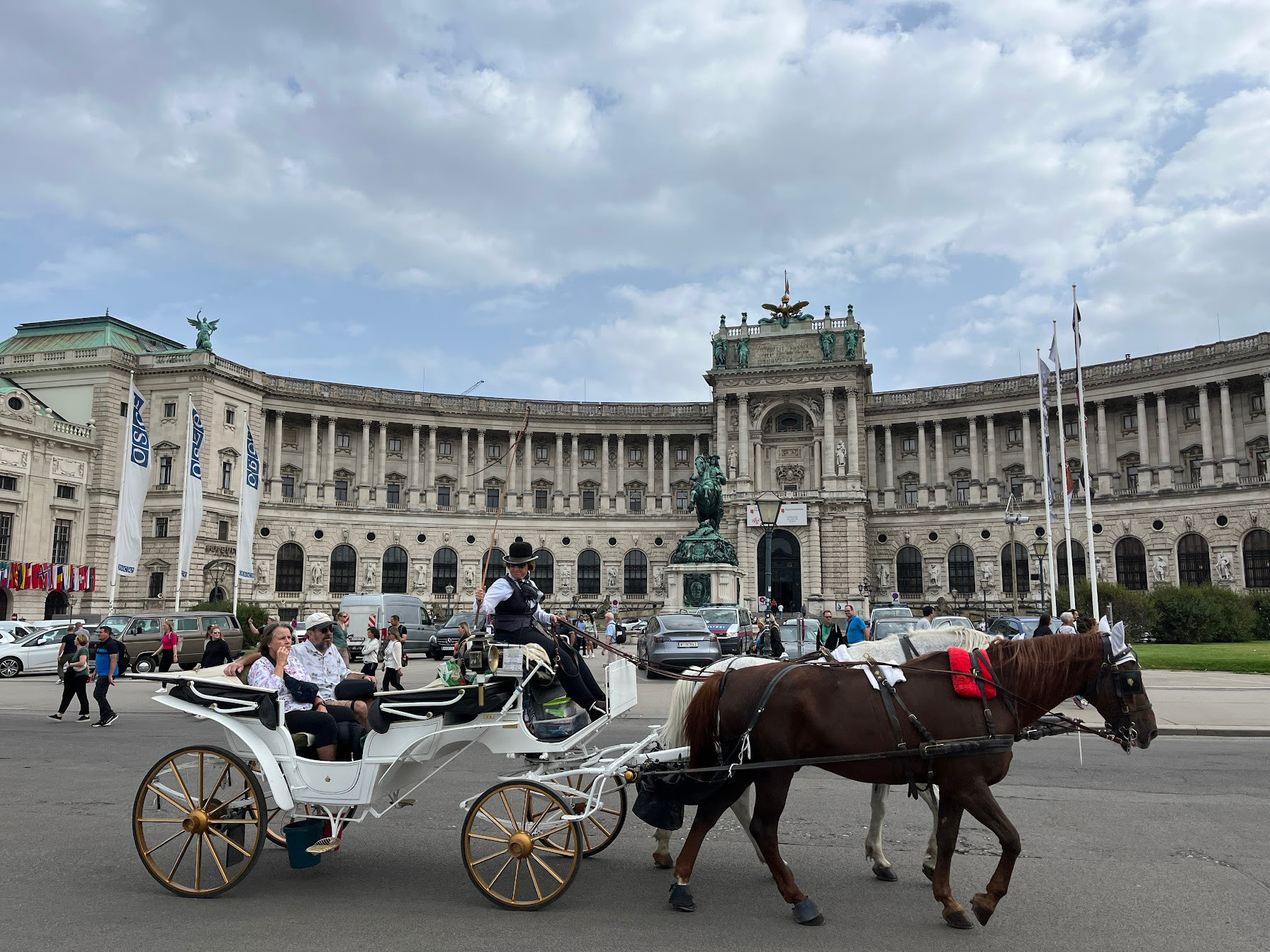 vienna carriage1