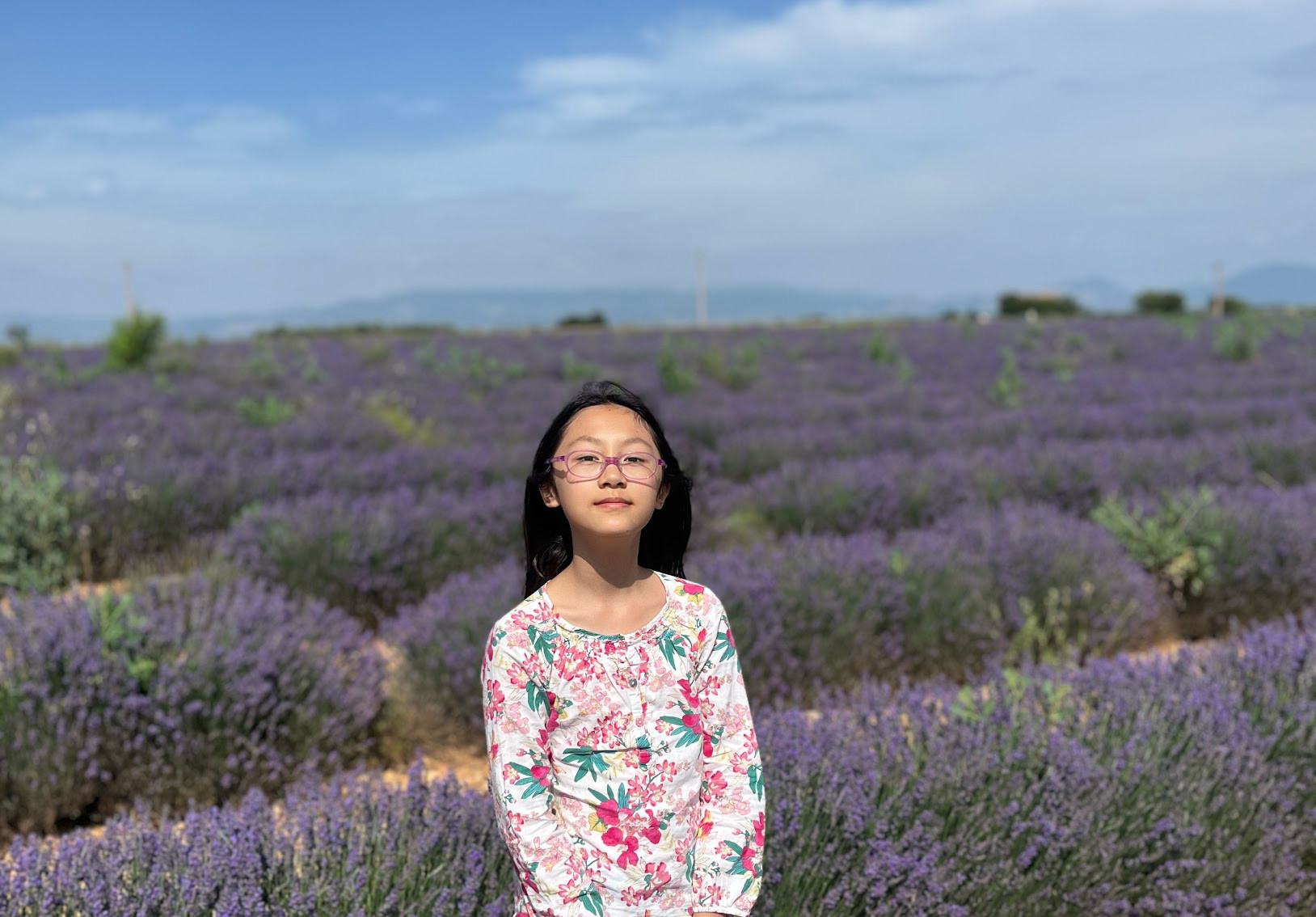 provence lavender yan
