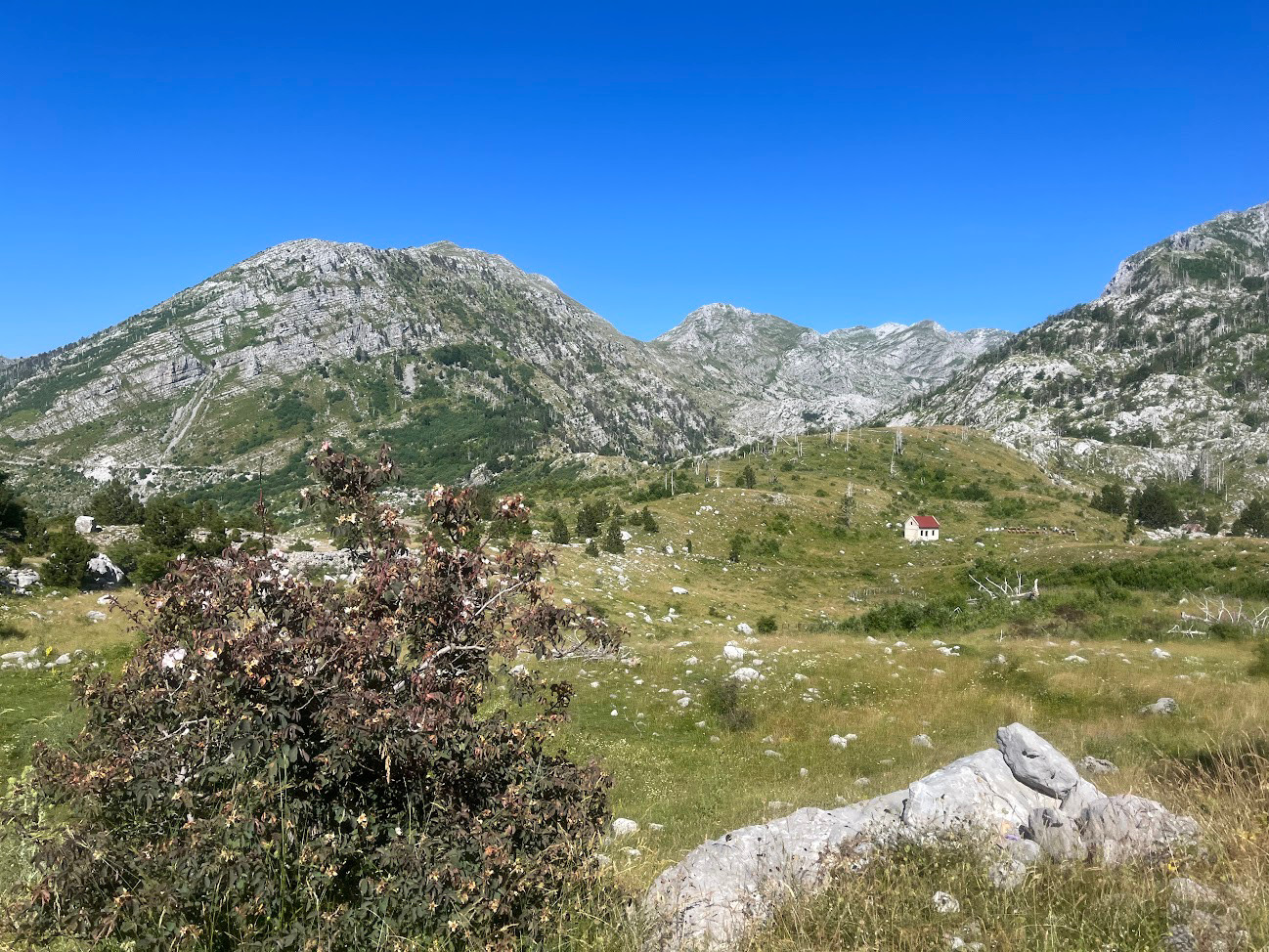 lost in montenegro1