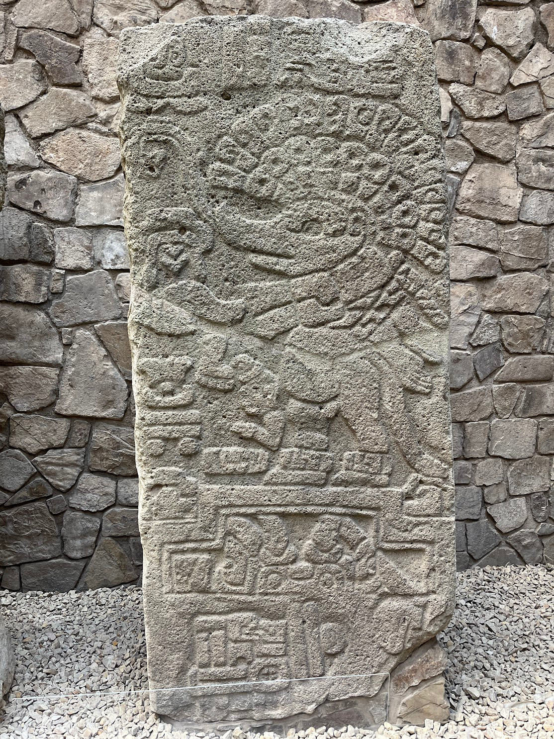 oaxaca alban hedgehog