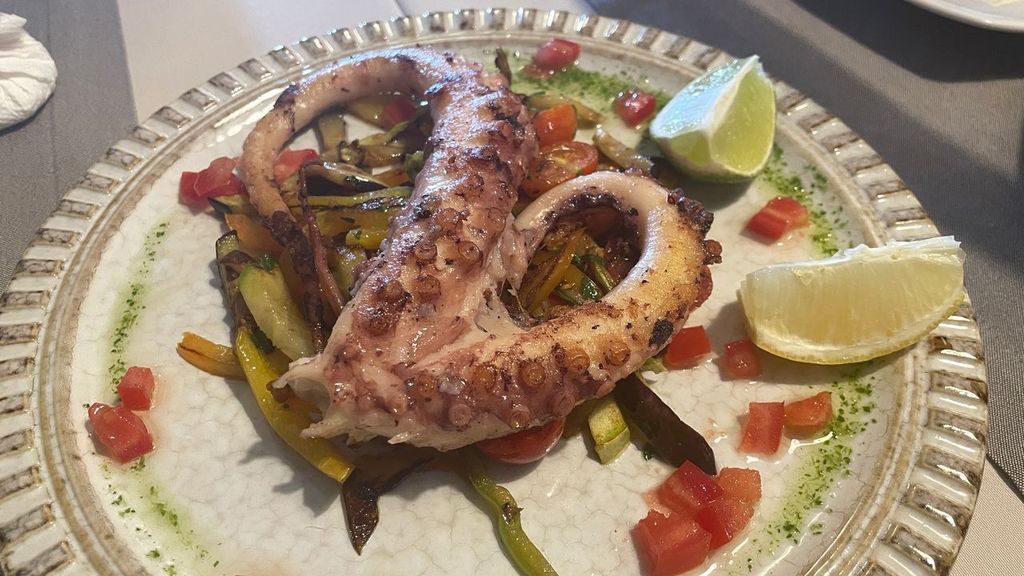 perast octopus