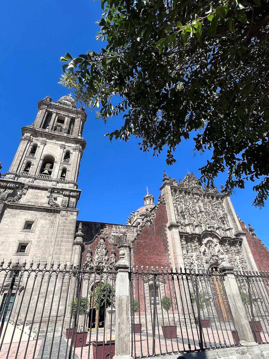 cdmx cathedral