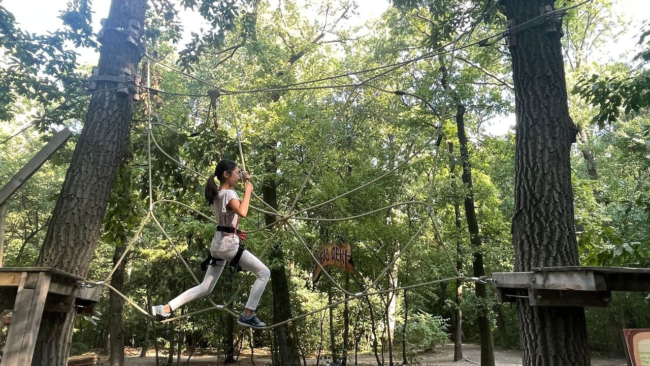 sofia yan zipline