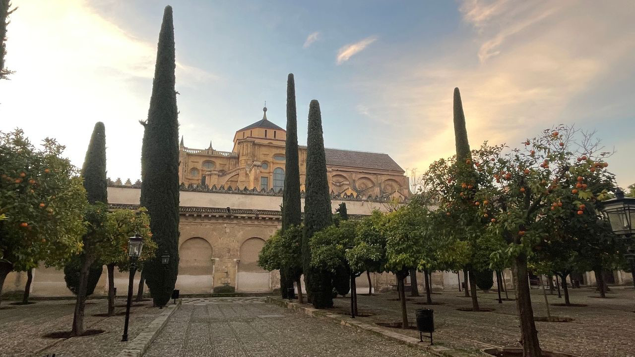 cordorba mesquita orchard