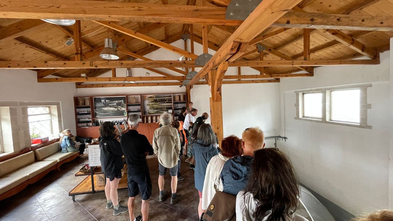 crete olive oil tour