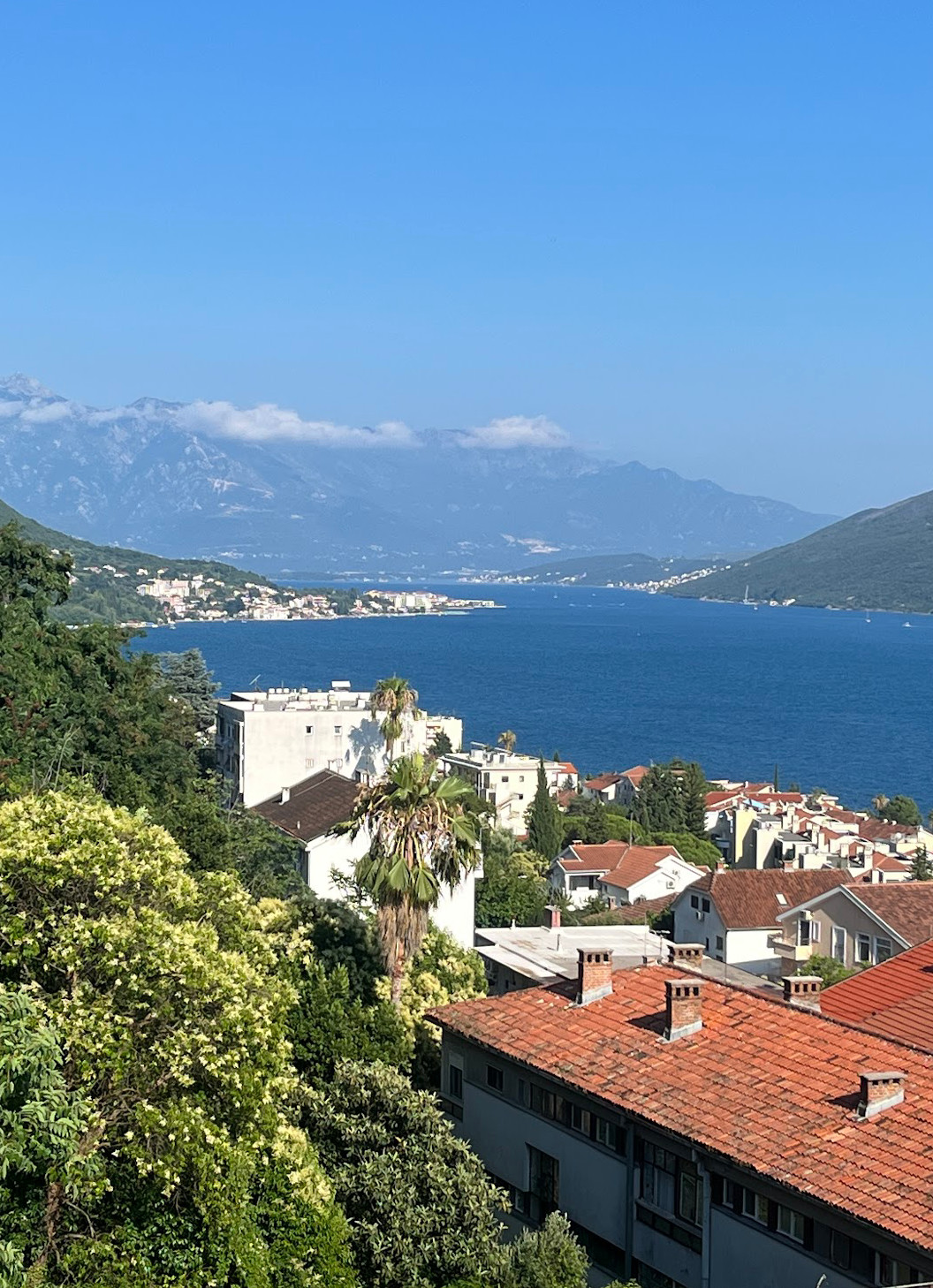 herceg novi town view