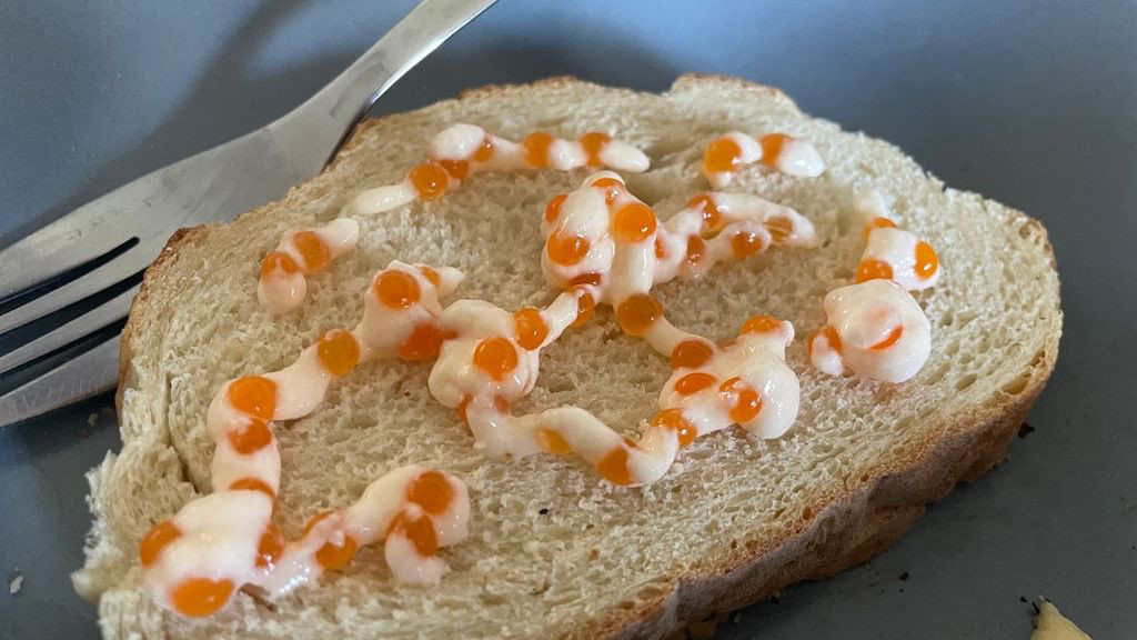 sofia fish roe open sandwitch