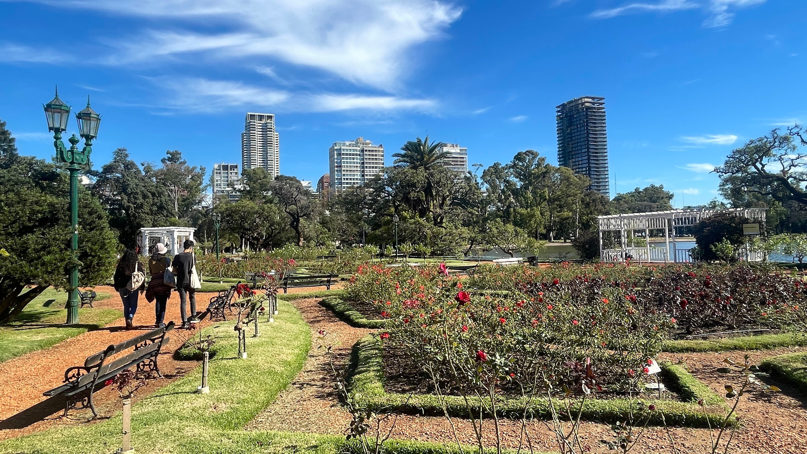 BA Palermo rose garden