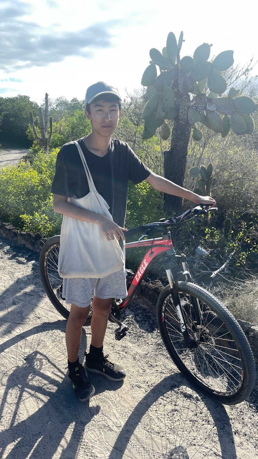 isabela bike flat