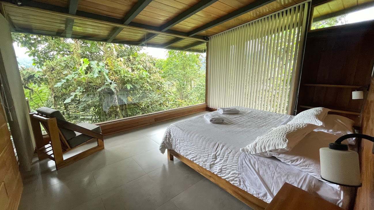 mindo wakeup in forest