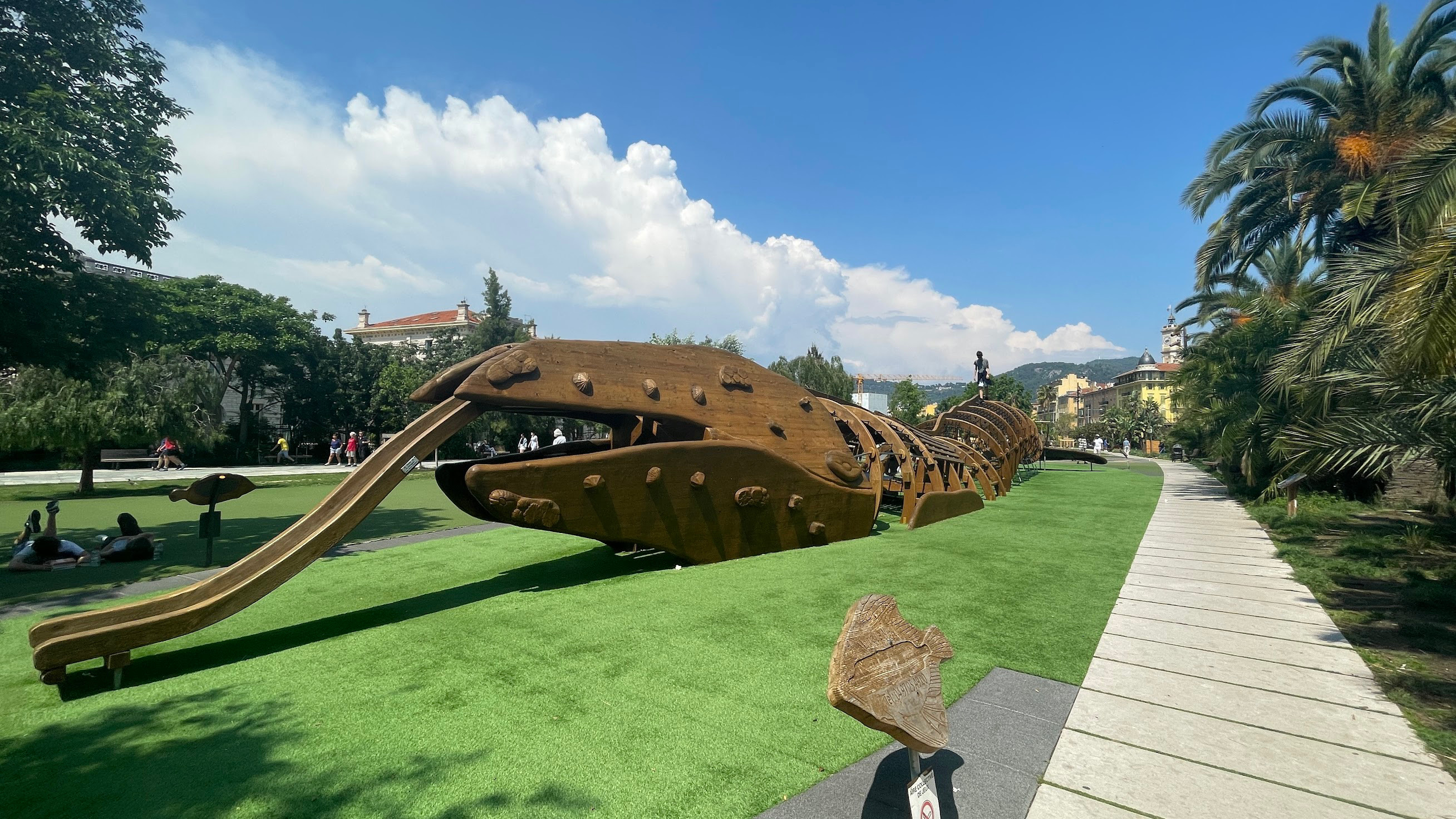 nice park whale