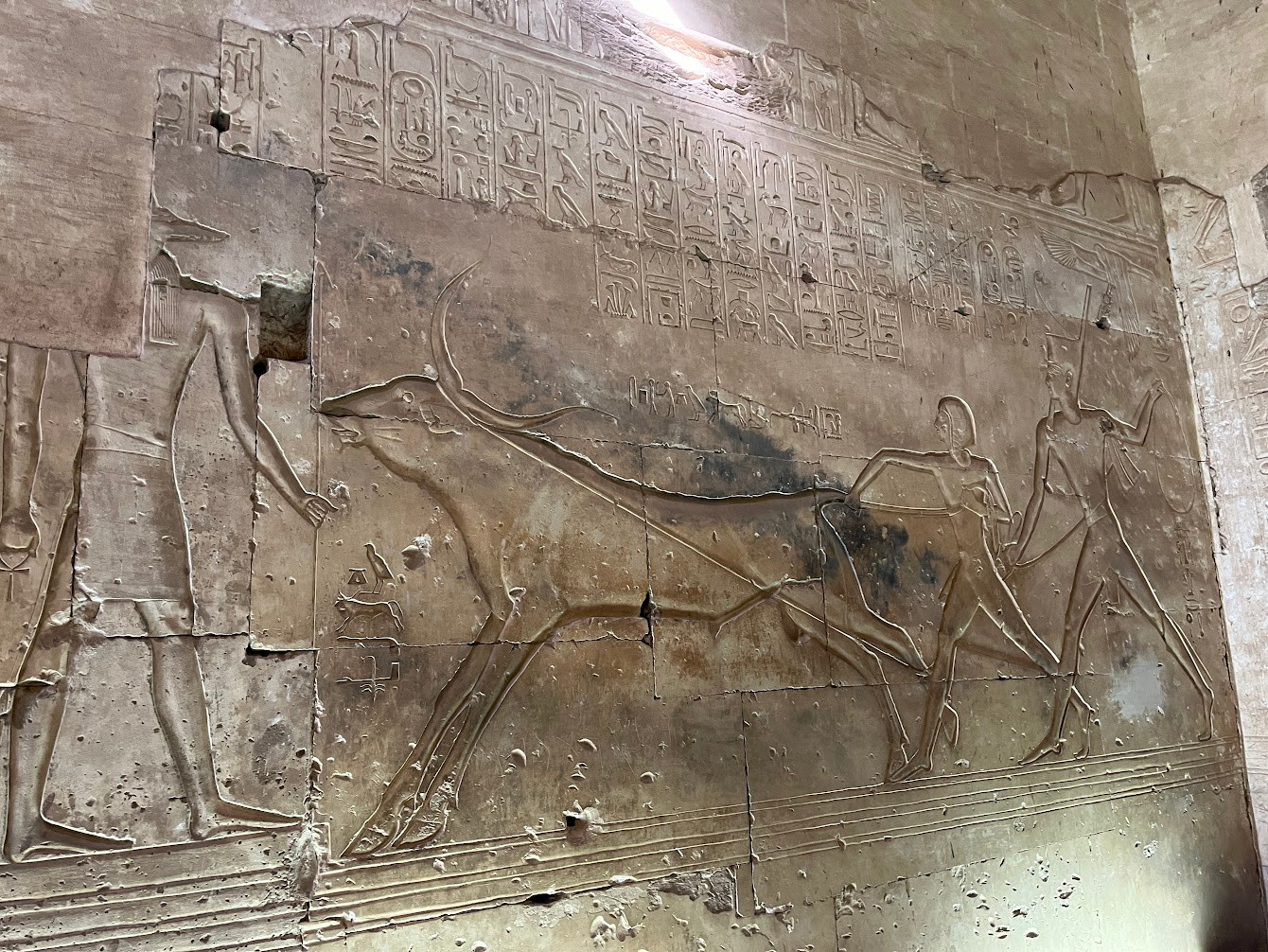 abydos teaching son