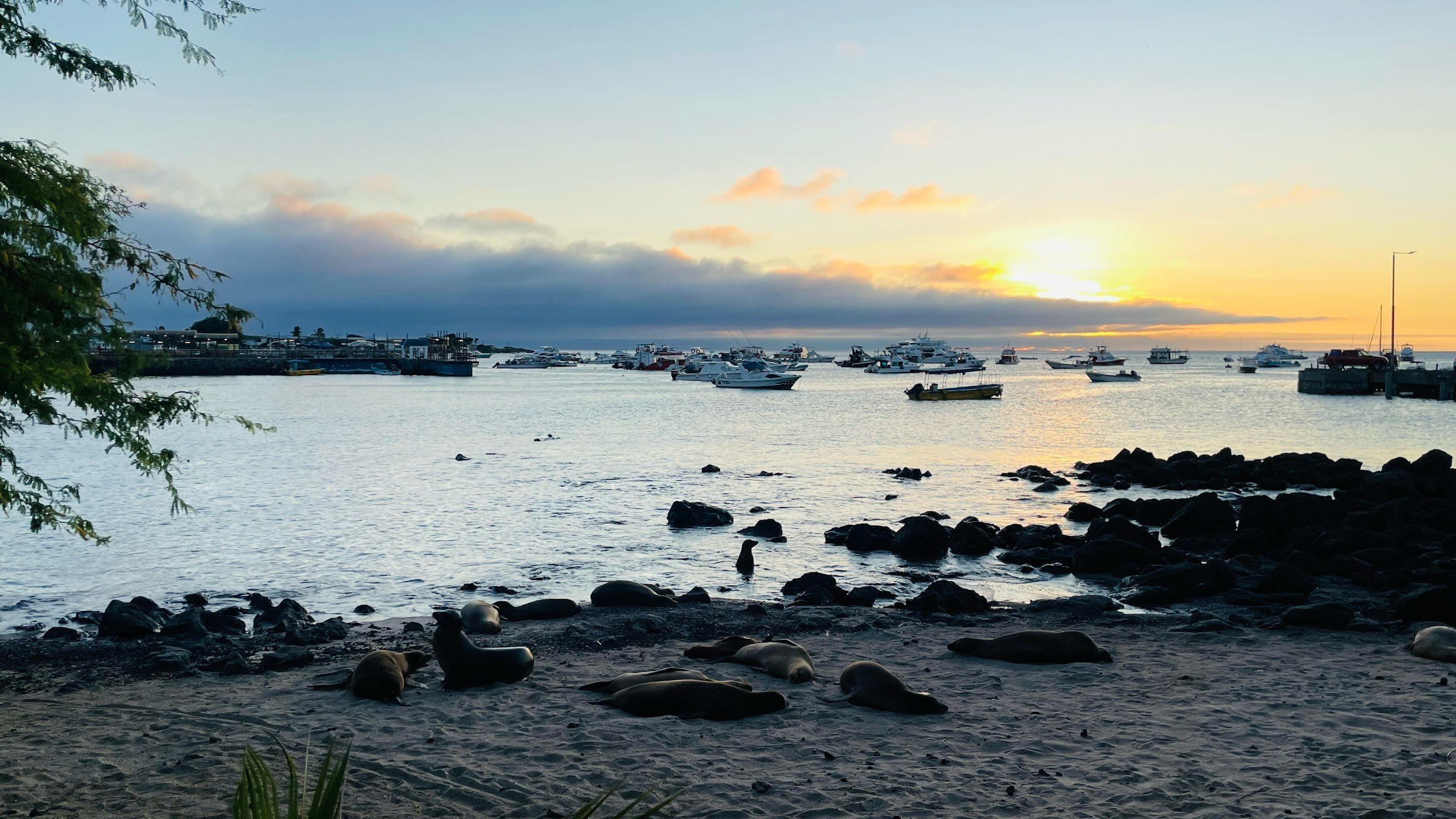 san cristobal sunset and seals