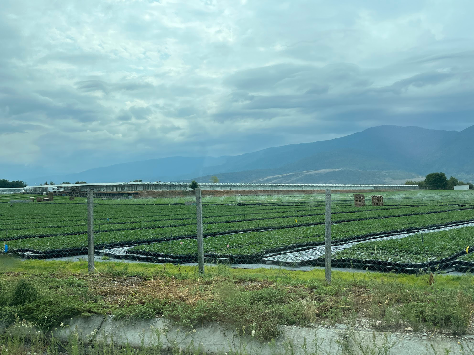 bulgaria farm