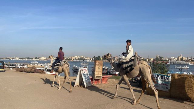 luxor nile camel